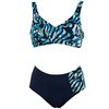 Abecita Darwin Kanters Bikini